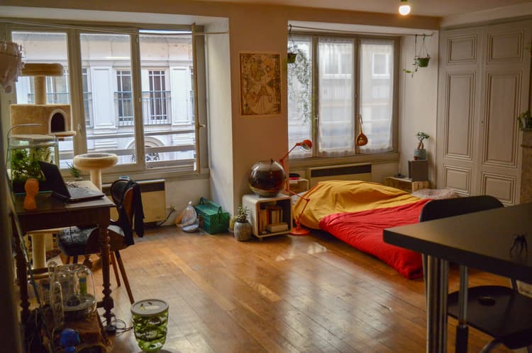 Photo de la location a temps partiel de : Chambre à louer dans apt au cœur du centre-ville de Lyon à Lyon